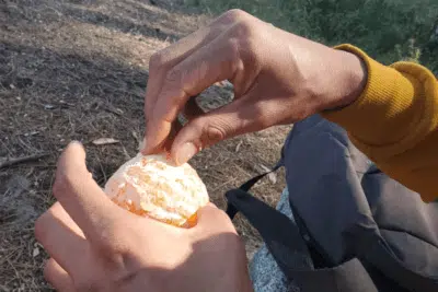 Photo of a person's hands peeling an orange
