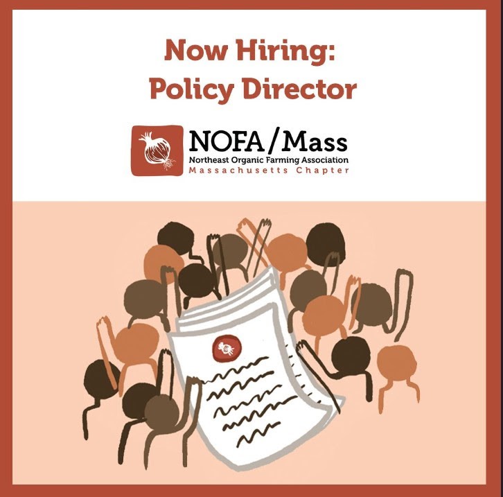Now Hiring : Policy Director
