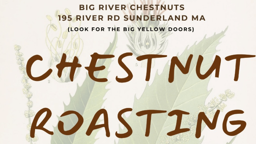 Big River Chestnuts Roasting Event Cover