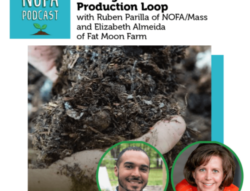 Season 6 Ep. 2 Closing the Mushroom Production Loop