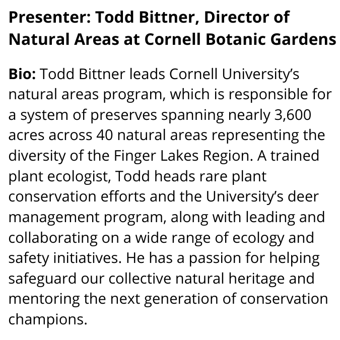 Todd Bittner Bio