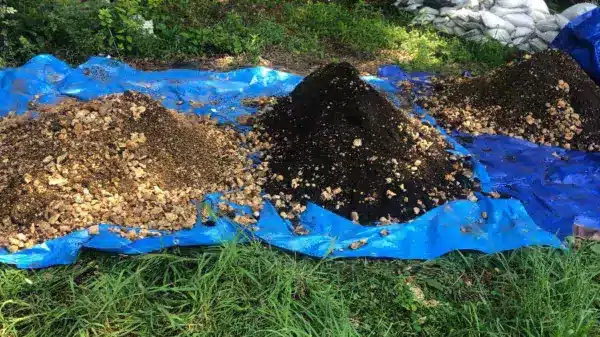 Three piles of compost lay out on a blue tarp
