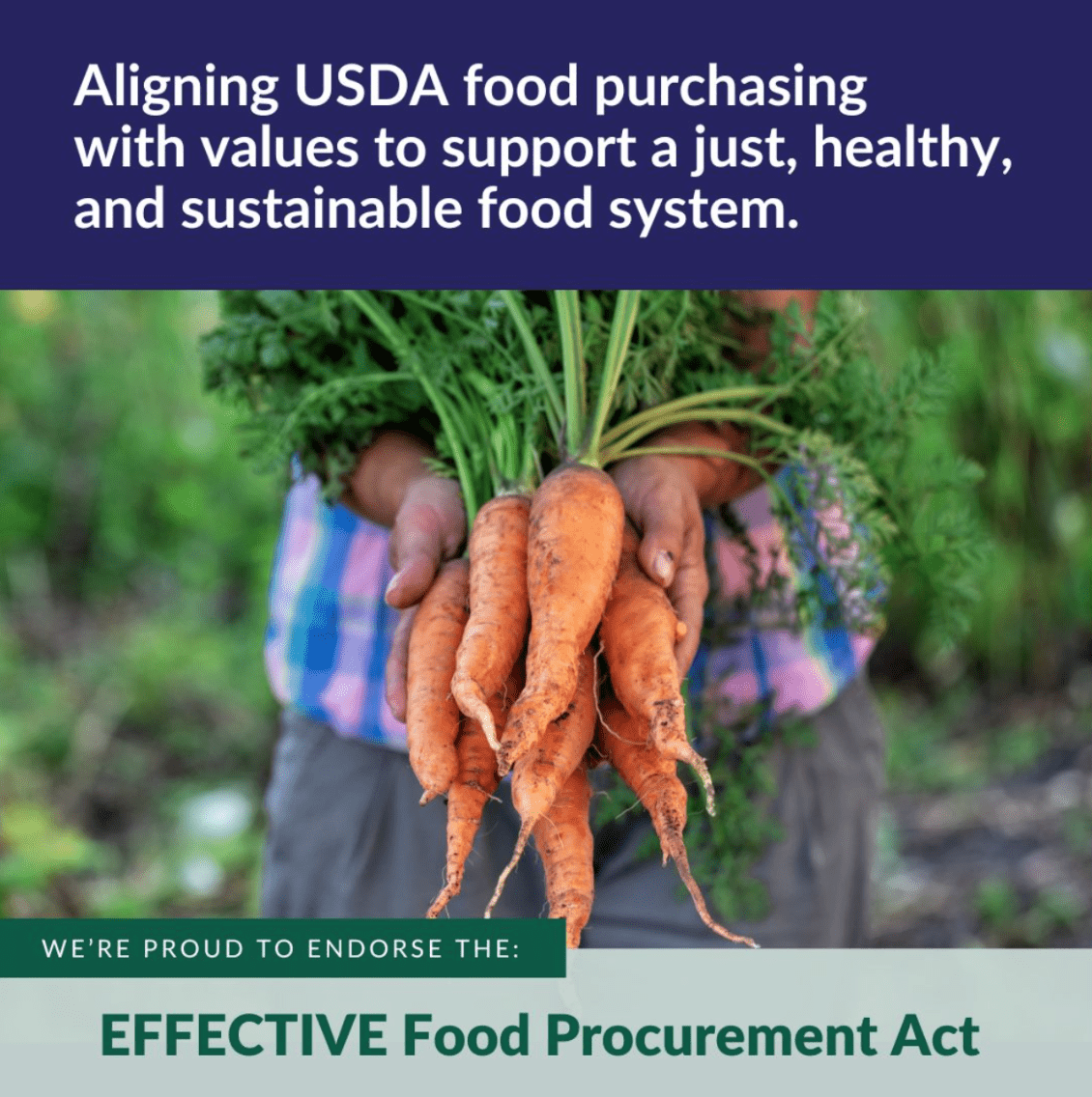 Caption : Aligning USDA food purchasing values to support a just, healthy, and sustainable food system.