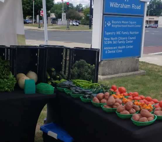 Agri-Organics “Food as Medicine” Table