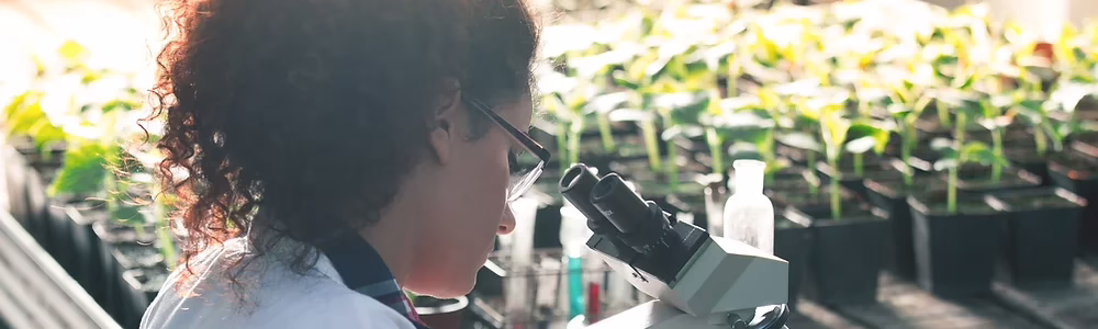 Microscopy based soil biology analysis